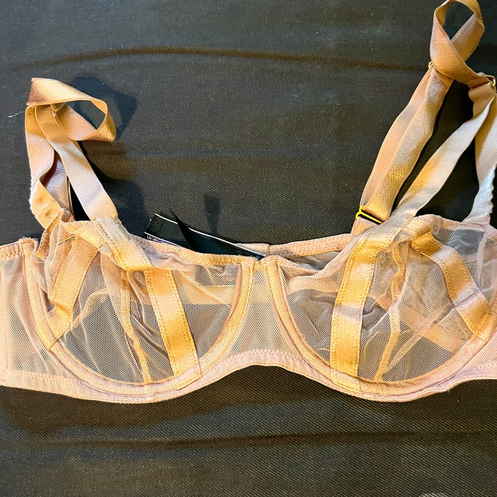 Sheer Victoria’s Secret Bra